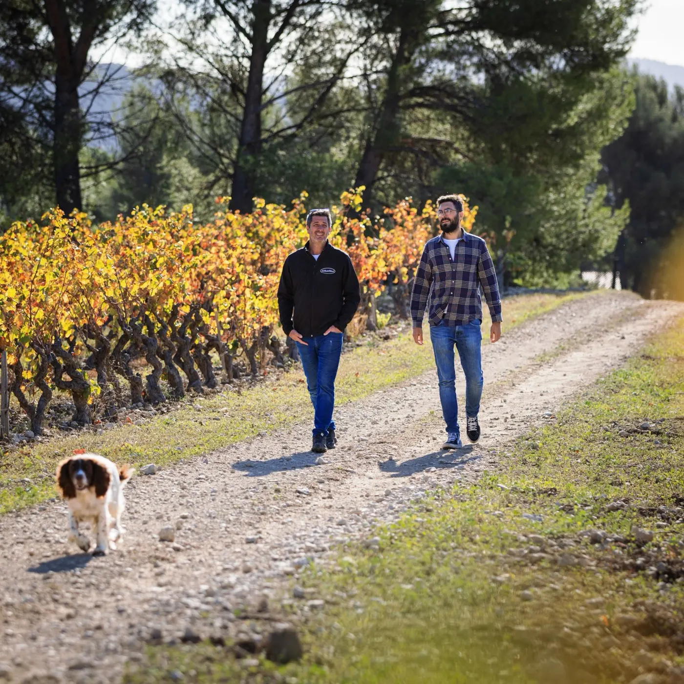 Domaine de la Bastide Blanche au coeur du vignoble de Bandol